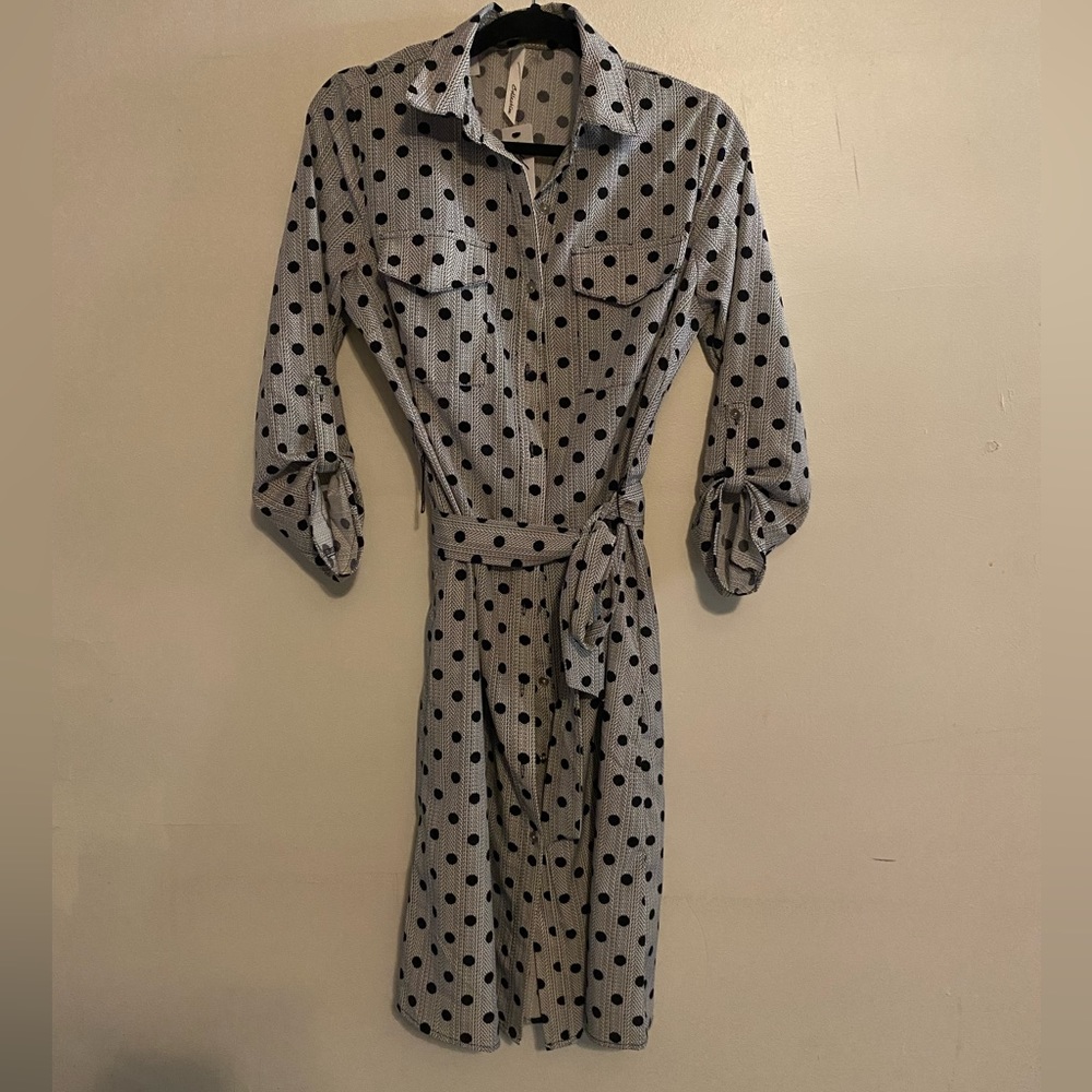 Grey and Black Polka dress. Great dress for the office.